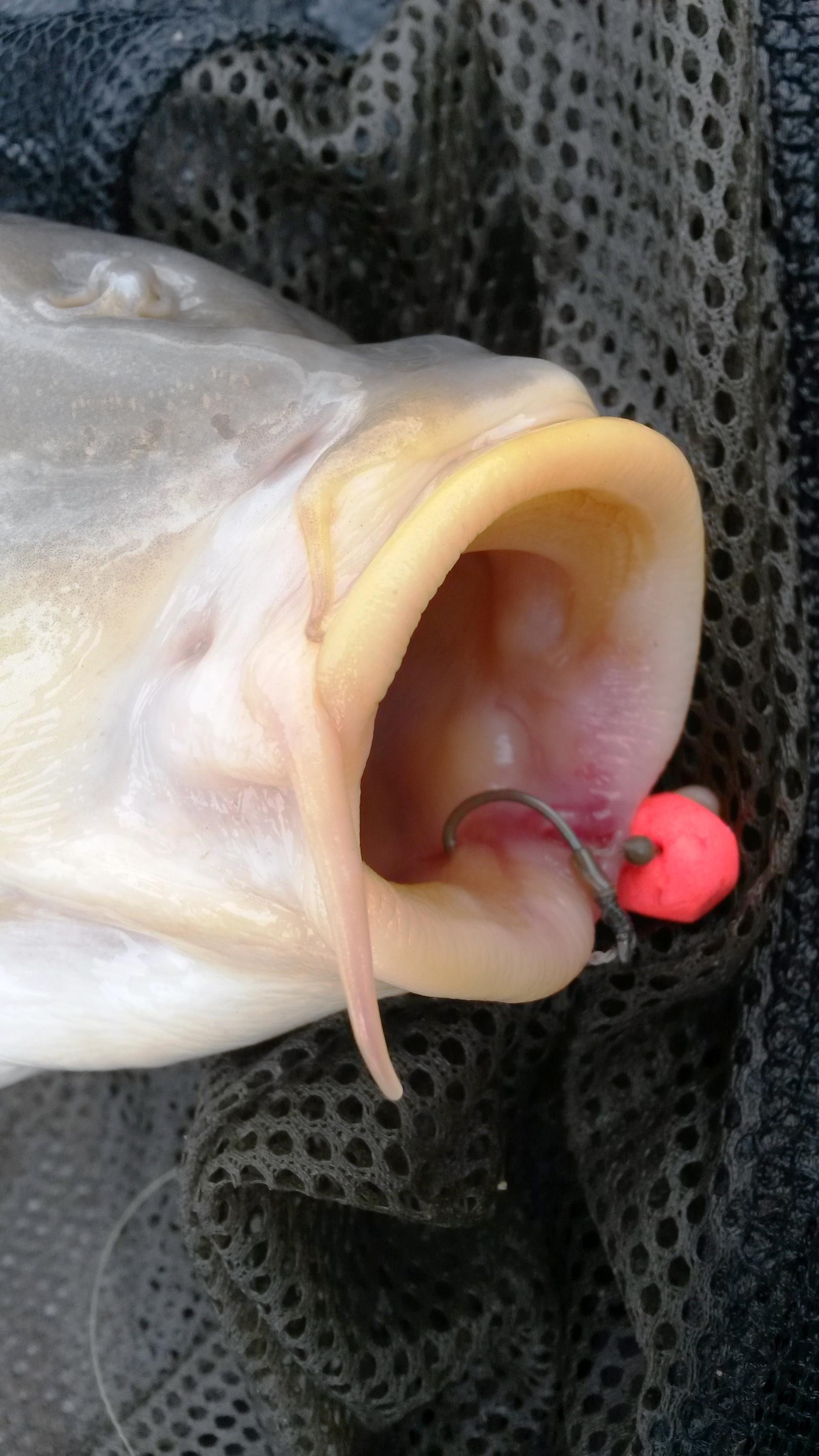 Sulimanu 27 aprilie 2014 - 3.jpg